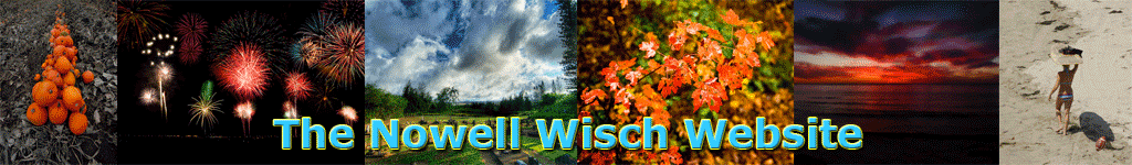The Nowell Wisch Website